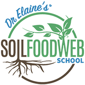 Dr. Elaine's Soil Food Web School